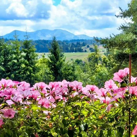 Ostrysz Homestay szállás *