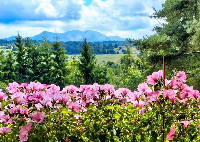 Ostrysz Ubytování v soukromí *